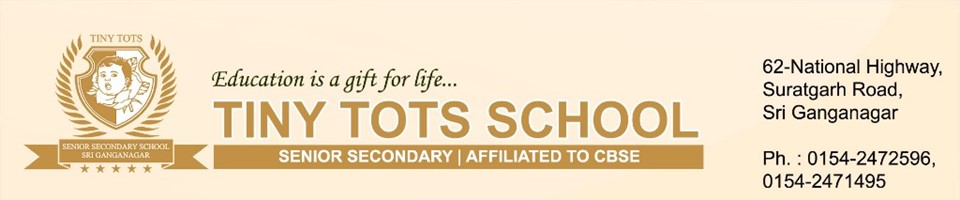 Tiny Tots School