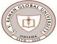 C. V. Raman Global University