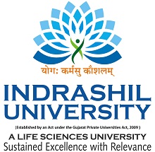 Indrashil University