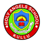 Holy Angels School, Shamshi