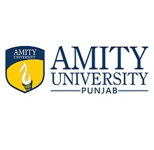 Amity University