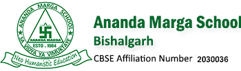 Ananda Marga School