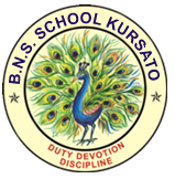 BNS School, Kursato