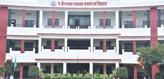 Dr Virendra Swarup Memorial Public School, Civil Lines