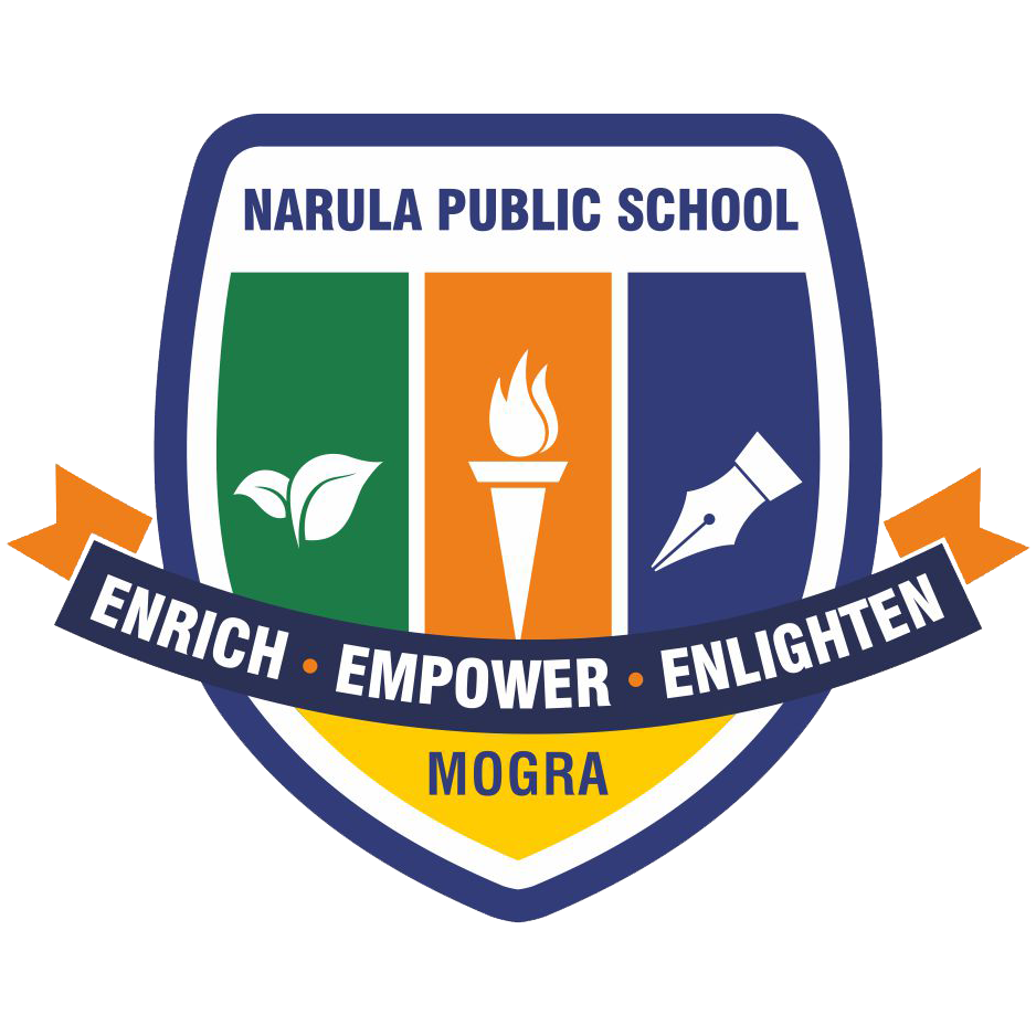 Narula Public School, Mogra