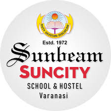 Sunbeam Suncity, Karsana