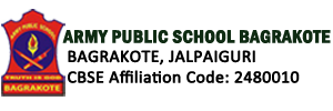 Army Public School – APS Bagrakote