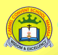 Carmel Convent School, Manasa