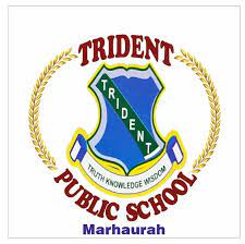 Trident Public School, Marhaura