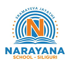 Narayana School, Sonaighuli