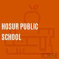 Hosur Public School, Hosur