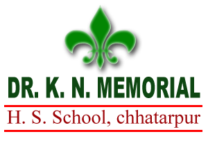 Dr K N Memorial Public Hr Sec School