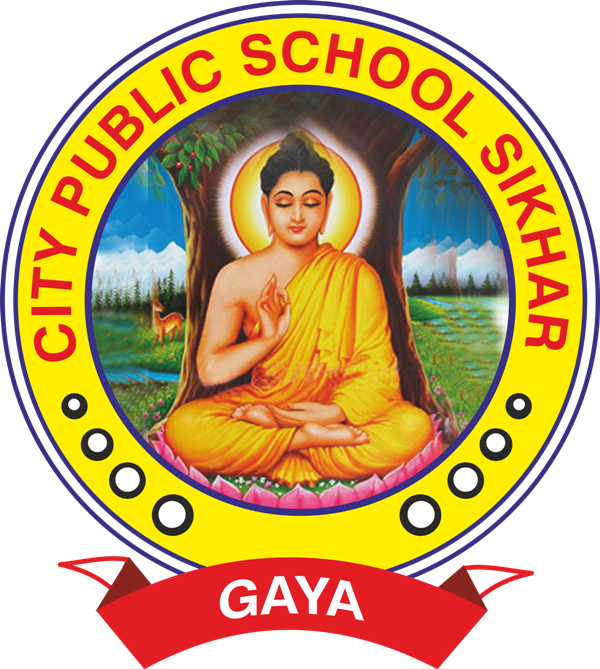 City Public School, Sikhar